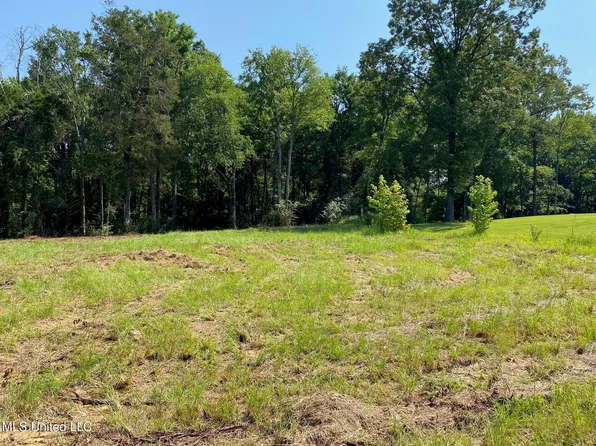 Mount Pleasant Rd Lot 22, Byhalia, MS 38611