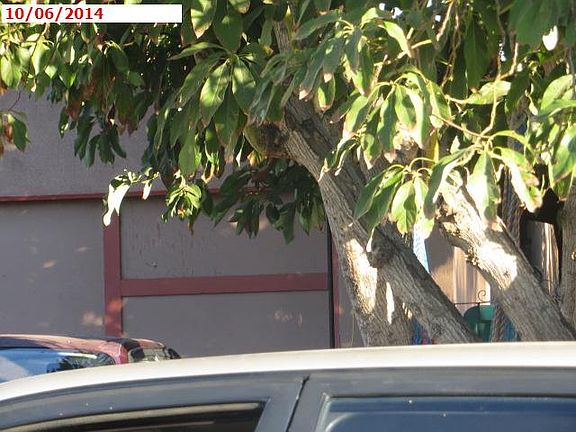 5th image of 1412 Sandsprings Dr