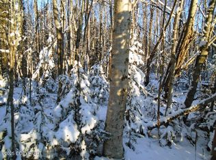 6677 S Lark Cir, Wasilla, AK 99623