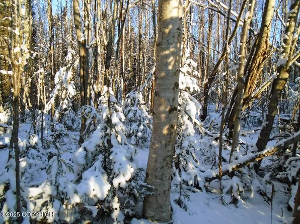 6677 S Lark Cir, Wasilla, AK 99623