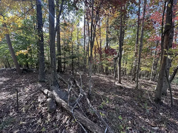 Bee Tree Dr, Peterstown, WV 24963