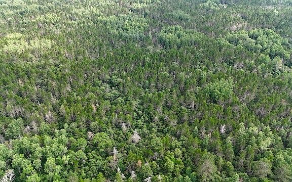 3rd image of Lot 13 E Idlewild Lake Road