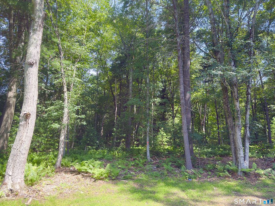1st image of Collelo Avenue