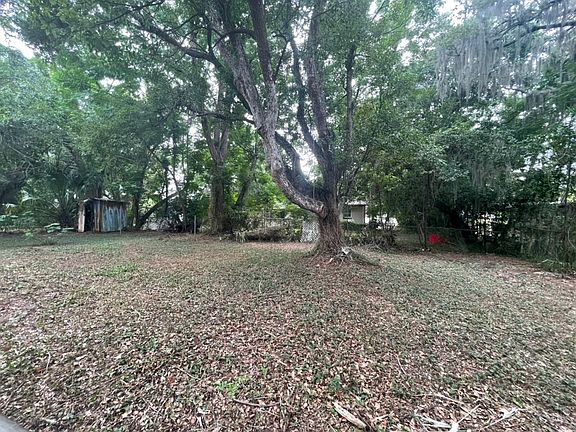 3rd image of 702 Plumosa Ave