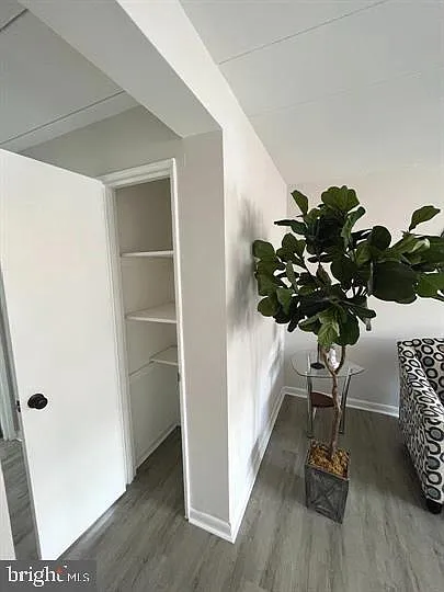 2 bed, 1.0 bath, 750 sqft, $1,800 — Photo 3