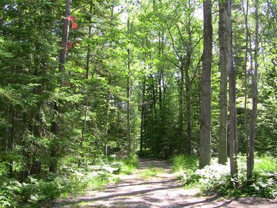 Balch Rd, Millersburg, MI, 49759