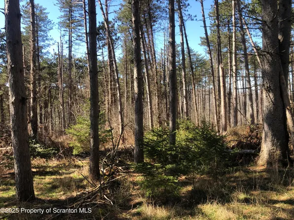 634 Lily Lake Rd Lot 3, Waverly, PA 18471