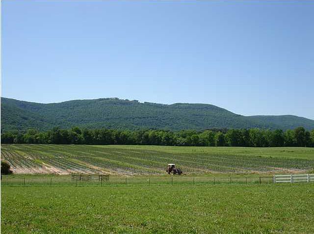 1st image of 30 Little Ponderosa Trl
