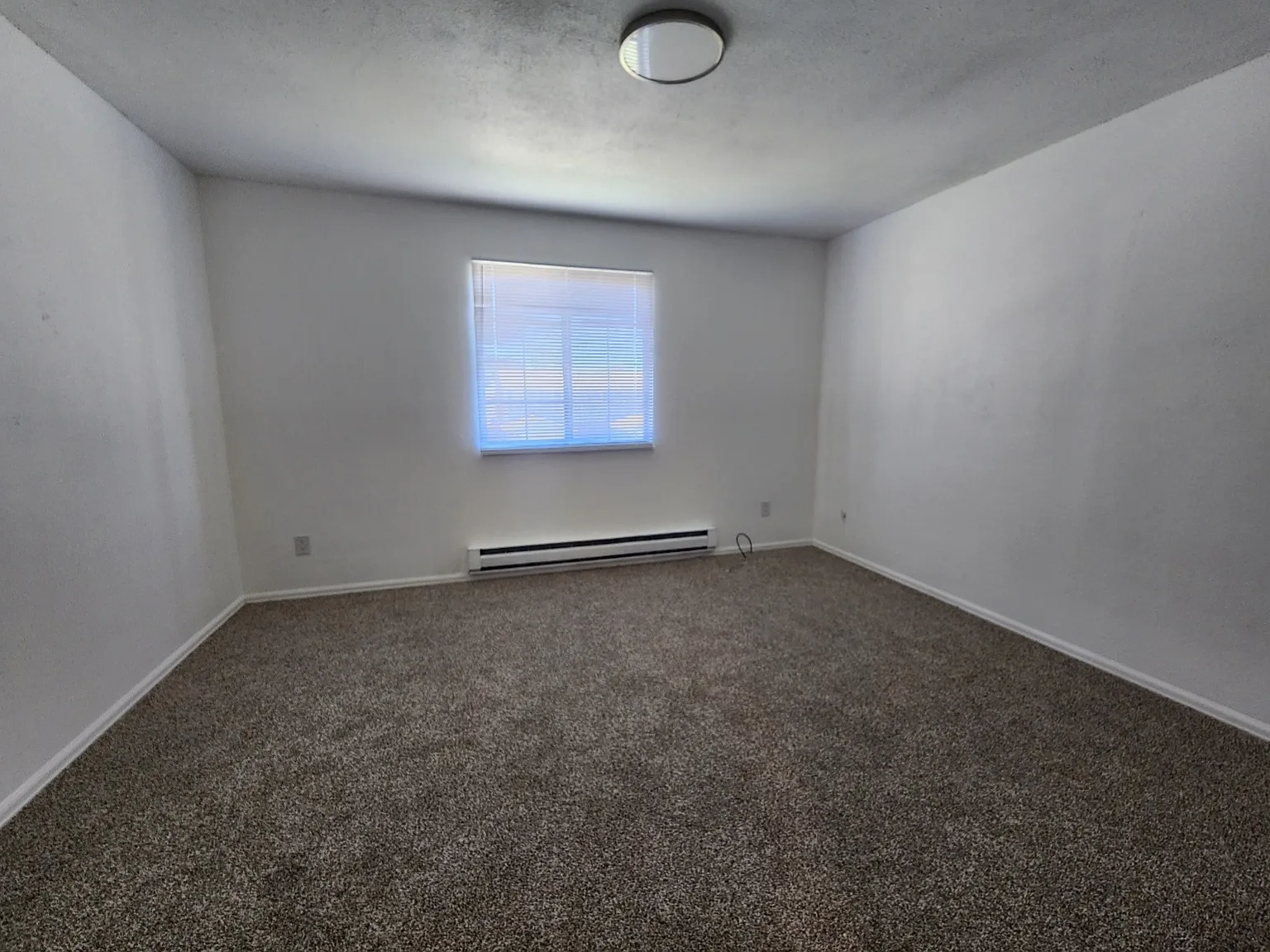 2 bed, 1.5 bath, 1000 sqft, $1,300 — Photo 4