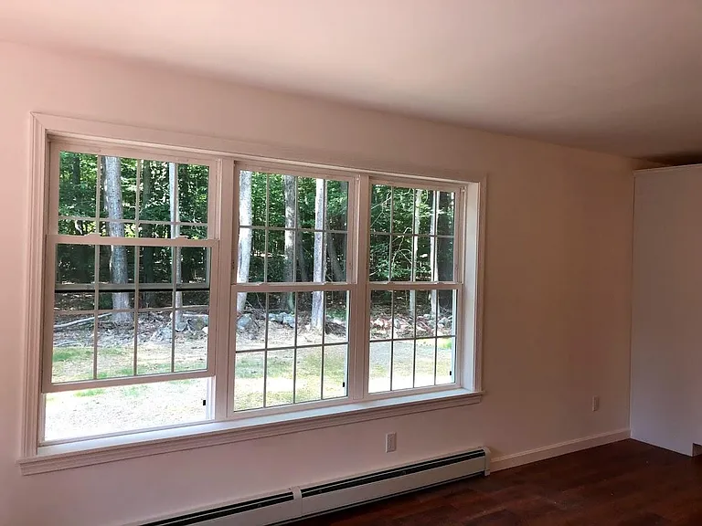 Living Room windows