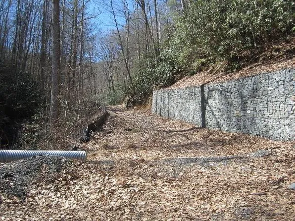 Chestnut Branch Rd, Bakersville, NC 28705
