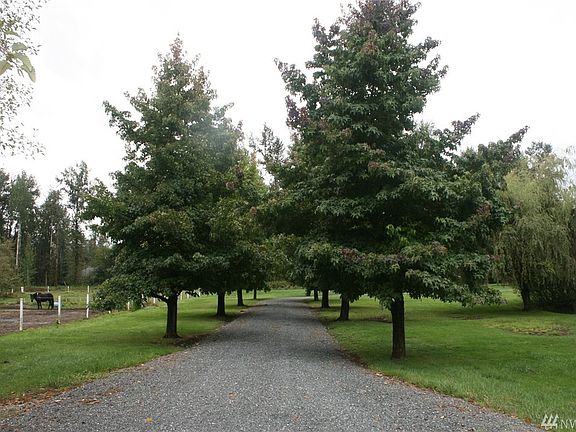Front driveway entry covered/shaded by mature Gum trees