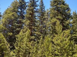 404 Lake Rd, Idaho Springs, CO 80452