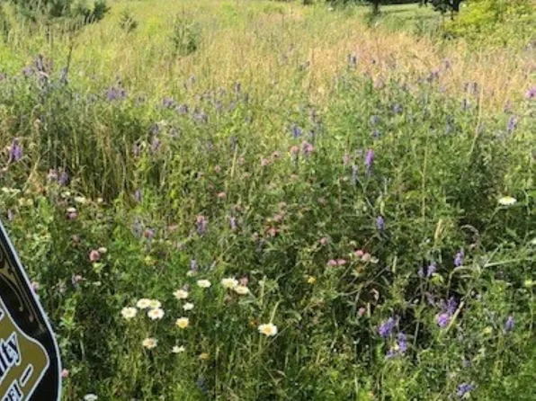 LOT 4-4B Bardin St, Victoria, PE C0A 2G0