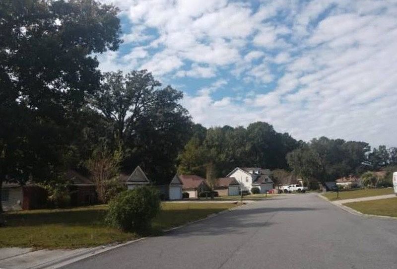 2nd image of 243 Longleaf Cir