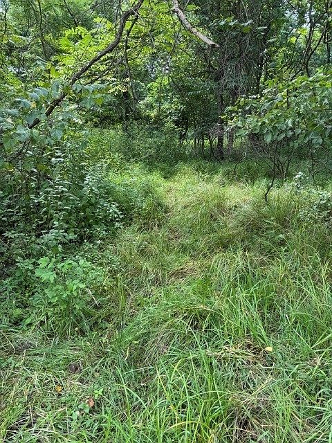 2nd image of 550 Cove Rd