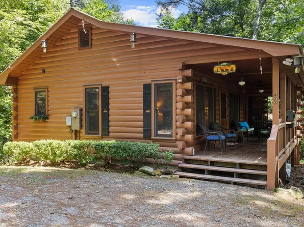 43 Jason Martin Cir, Cherry Log, GA 30522