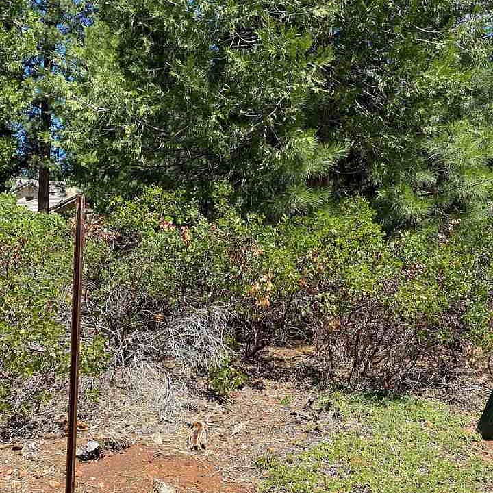 1st image of 250 Fox Head Ct