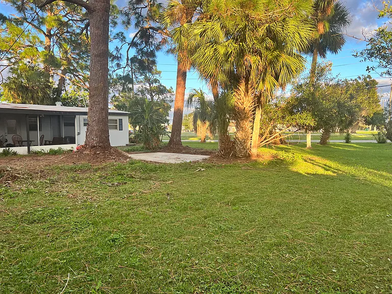 Backyard