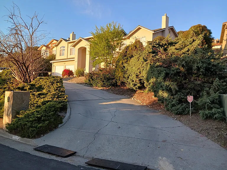 10072 Rose View Dr — Photo 19