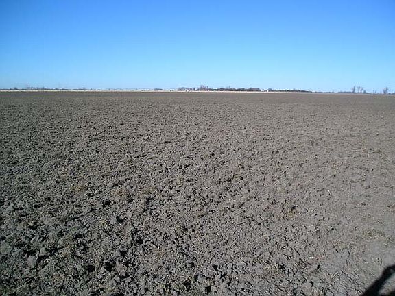 5th image of 75617 Road 430