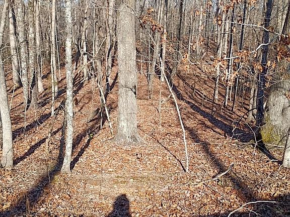 4th image of 0 County Line Rd S
