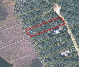 97 Bridle Ridge Ct, Flagler Beach, FL 32136