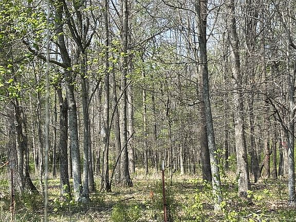 4th image of 0 Hollow Springs Rd