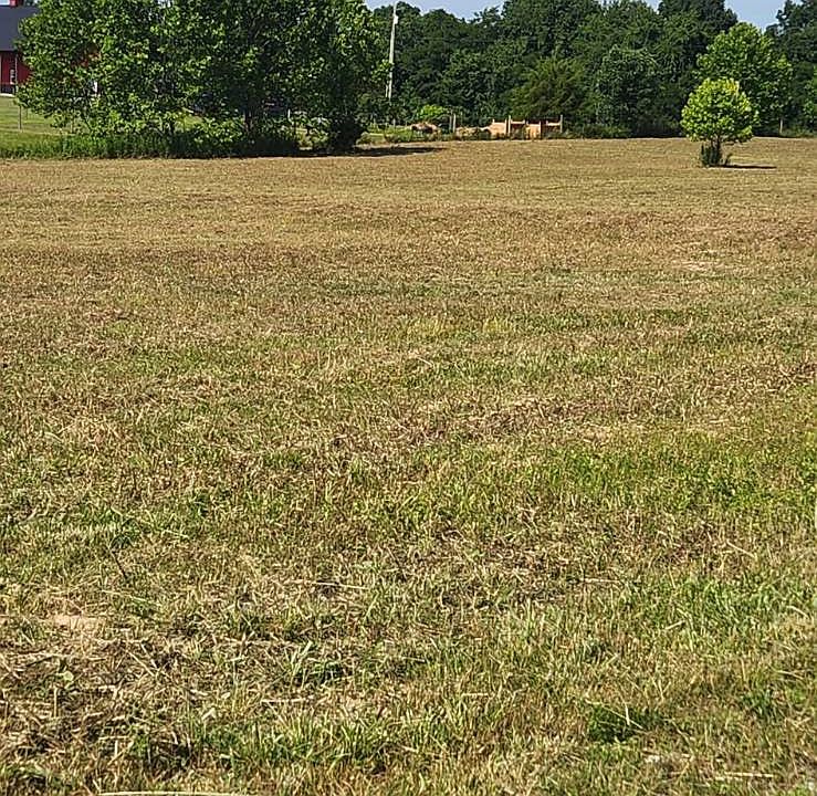 2nd image of 0 Hester Ridge Rd Lot 3