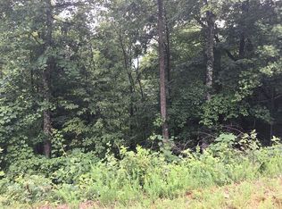 213 Deerrun, Purlear, NC 28665