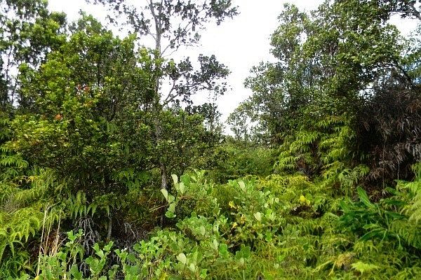 1st image of Pa Alii St Lot 1757