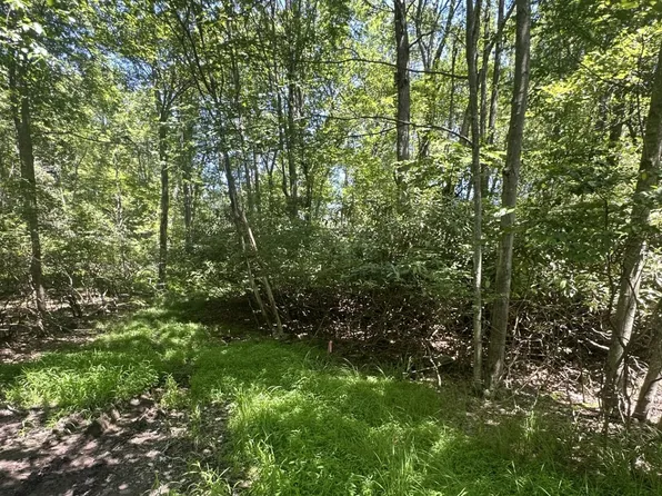 LOT 2 Tamarack Ter, Pocono Summit, PA 18346