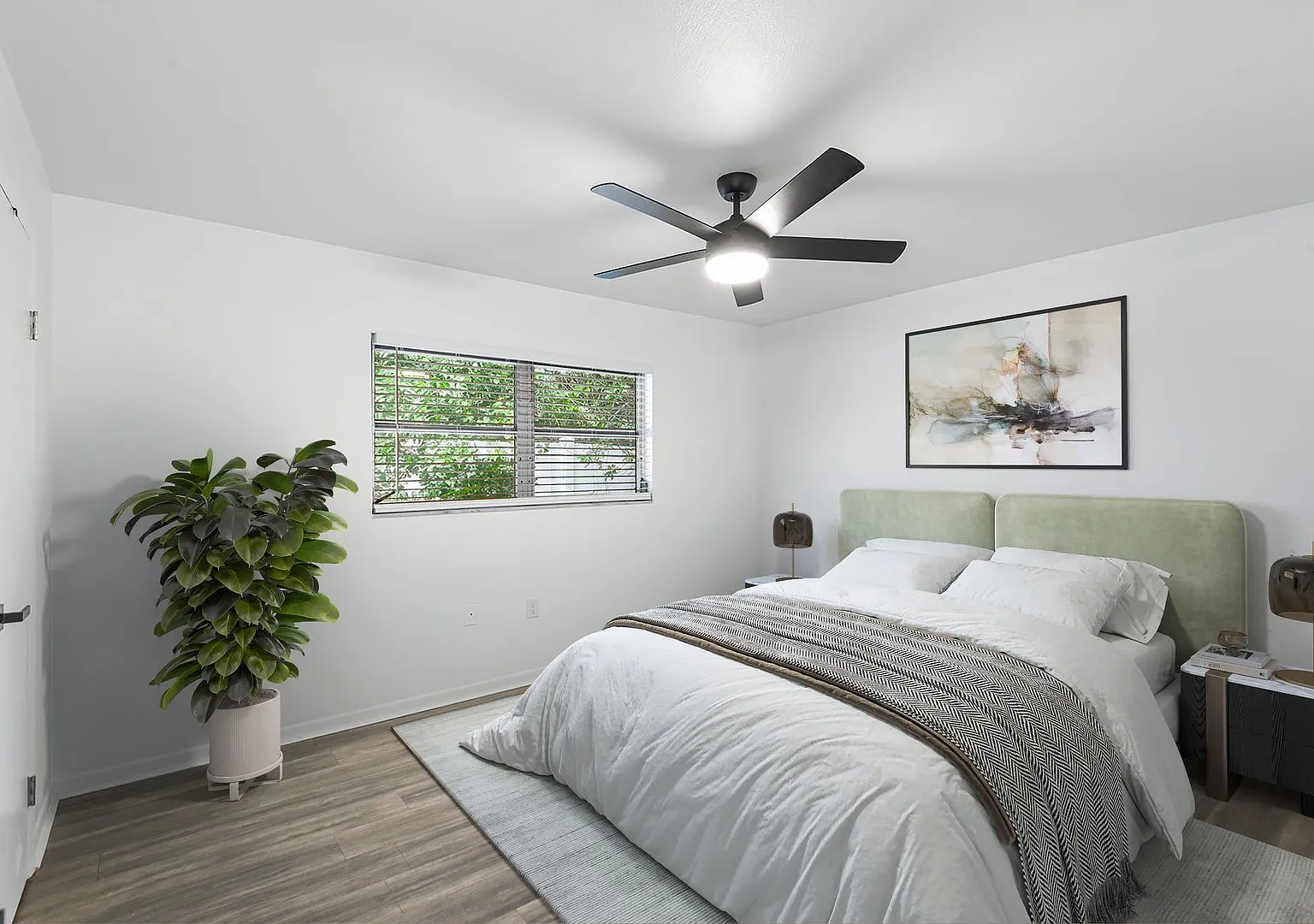 St Pete Apartment For Rent!! — Photo 4