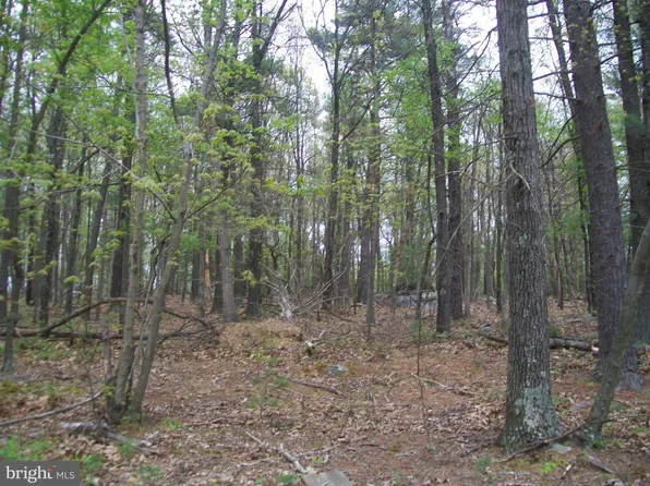 Tobacco Rd, Augusta, WV 26704