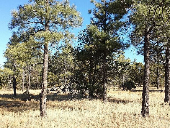 4th image of 0 W Coyote Dr 212-15-010 A