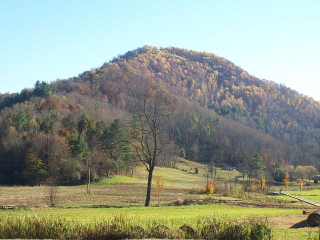 2nd image of 108 Hortons Creek Rd