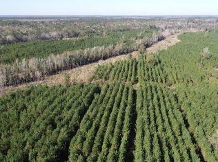 5821 Cox Rd SW, Townsend, GA 31331