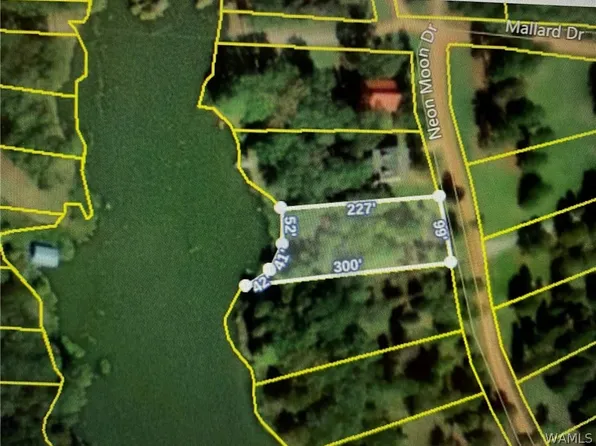 0 Neon Moon Dr, Eutaw, AL 35462