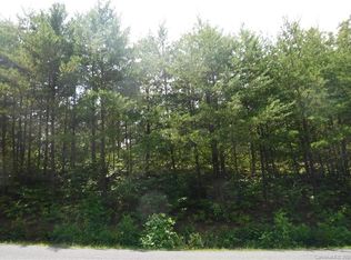 31 S Cove Rd, Mill Spring, NC 28756