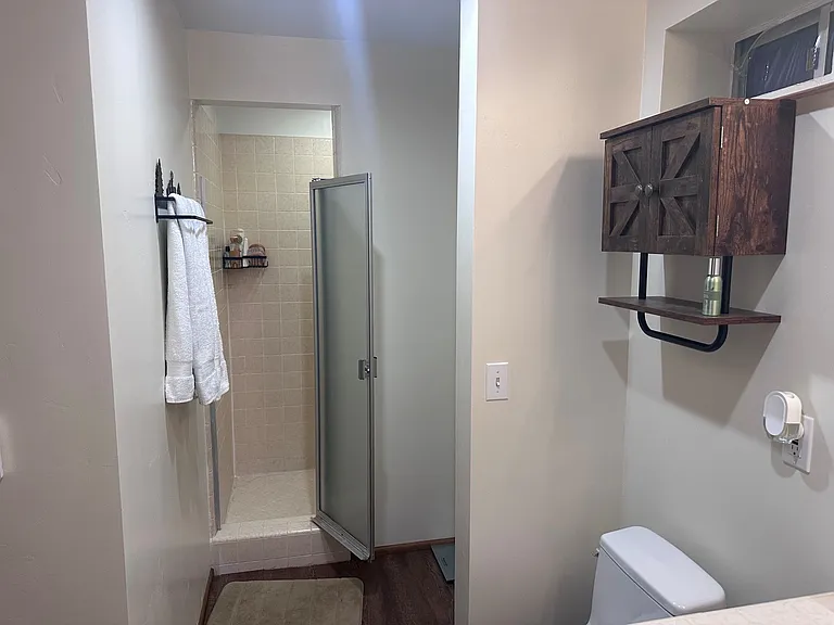 Downstairs Bathroom Suite access through Bedroom