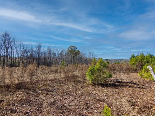 TRACT Six 0 Chestnut Grove Rd, Shiloh, GA 31826