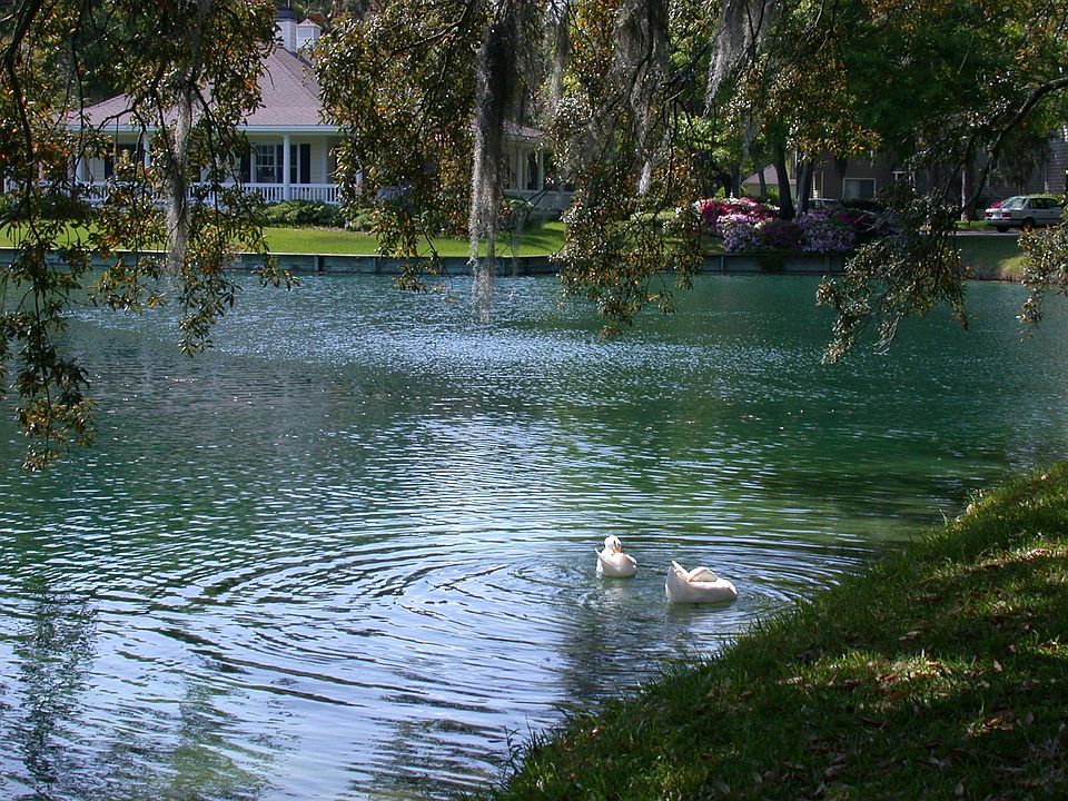 Duck Pond w/azeleas