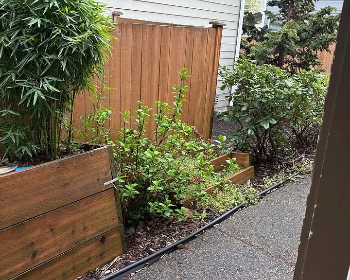 27628 154th Pl SE — Photo 13