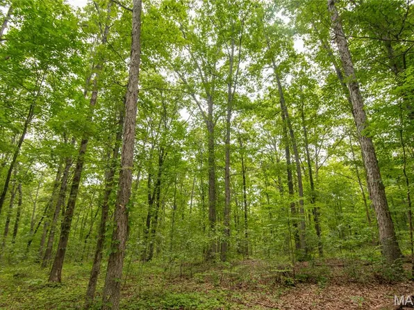 123 Buttry Ln, Wappapello, MO 63966