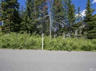 26 Guye Peak Ln, Snoqualmie Pass, WA 98068