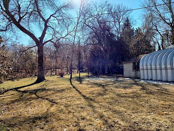 Backyard, carport and shed 