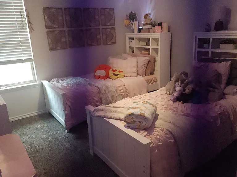 7325 Star Gazer Dr — Photo 6