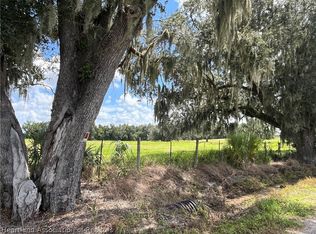 Johns Rd, Wauchula, FL 33873