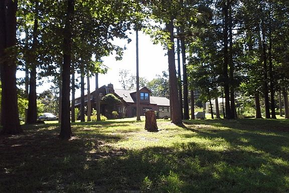 noreenwatson.com/paradise