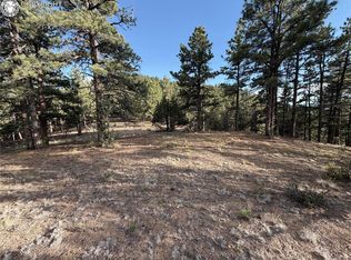 380 Buck Ridge Rd, Canon City, CO 81212